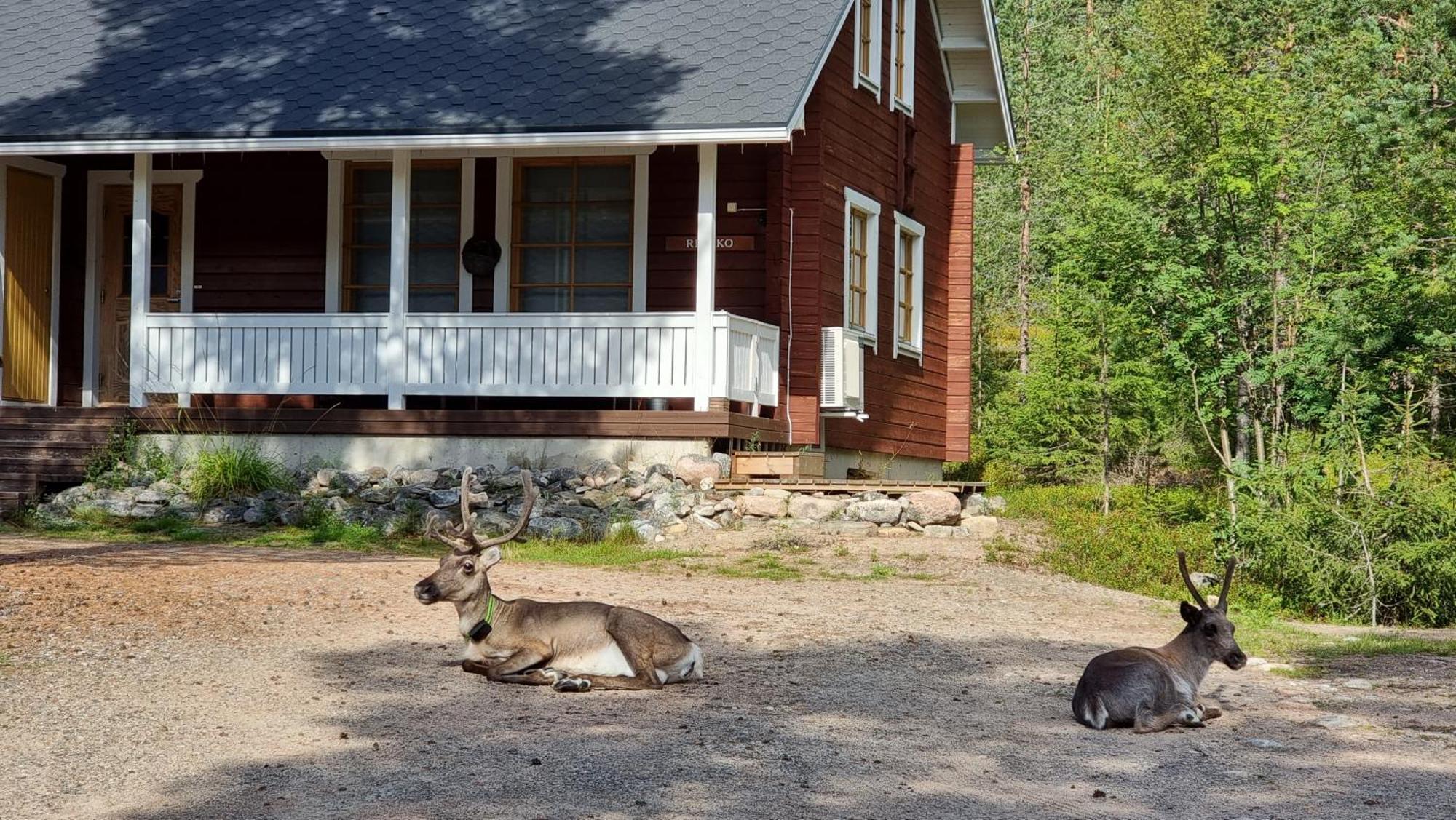 Riekko Chalet Рованиеми Экстерьер фото